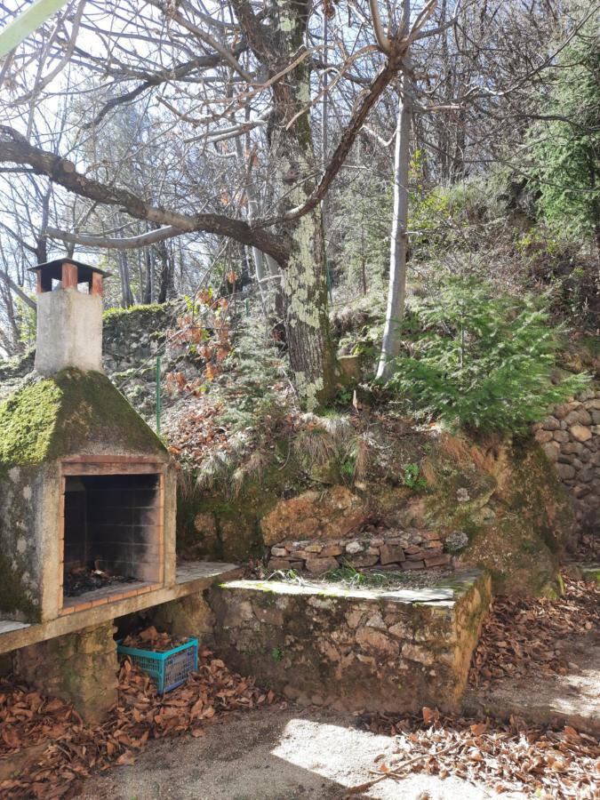 Vila Maison De Famille Dans Les Cevennes Mandagout Exteriér fotografie
